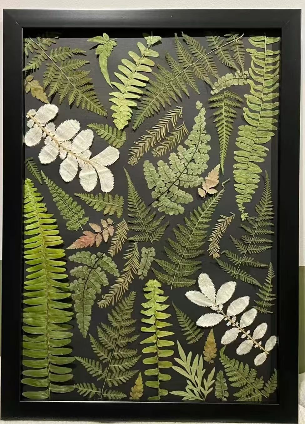 3044永利集团官网